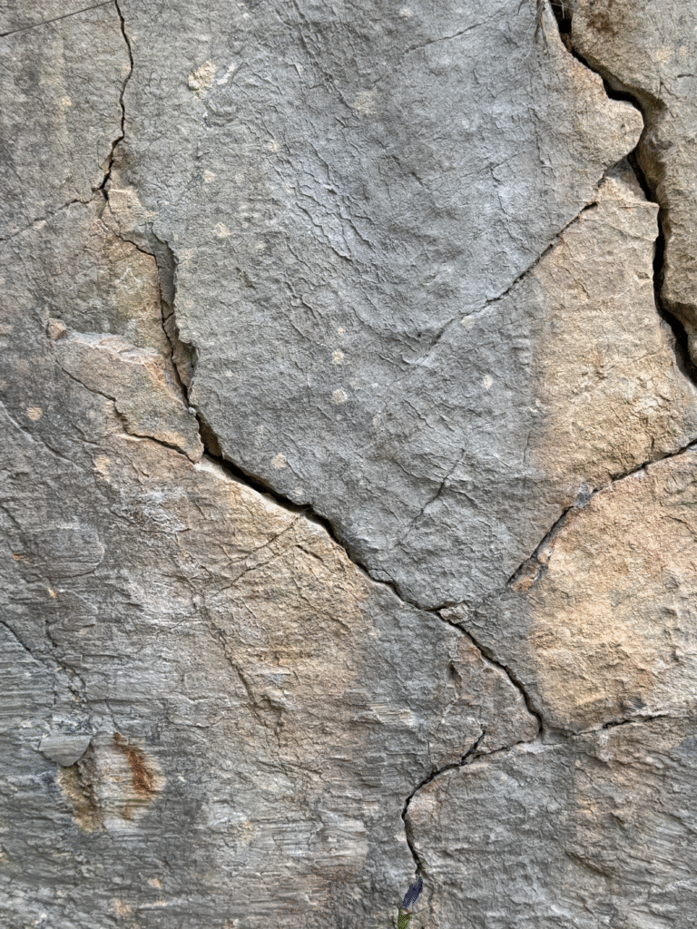 Kantharos-Kantharos wine agency-Dominik Ginzinger