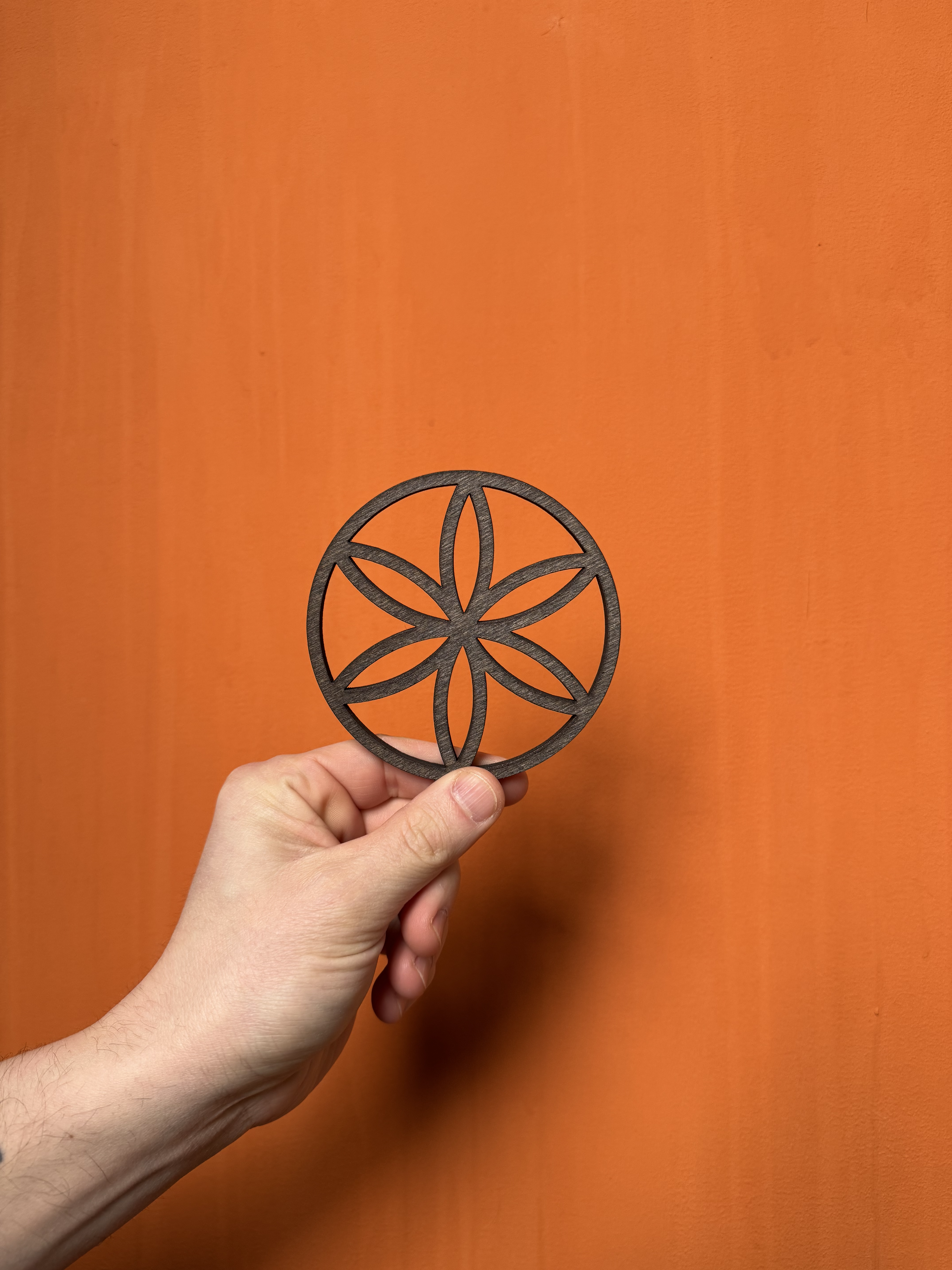 Schmecke das Leben-Taste life-schmeckedasleben- Werlitsch-Tauss-Muster-Strohmeier-Tscheppe-Kantharos-Kantharos wine agency